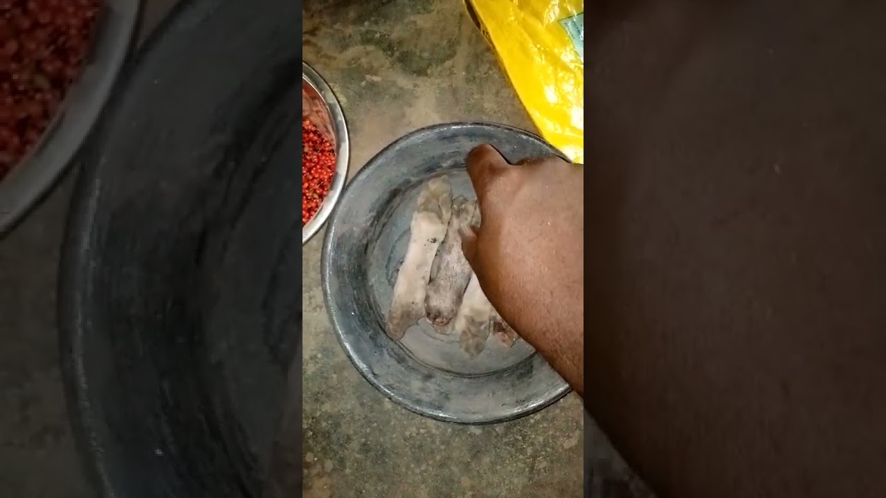 AYETA AFOBON  TOTUN SISE OKIGBE TODAJU BIKU, FOR ANY QUESTIONS CALL 08029316029