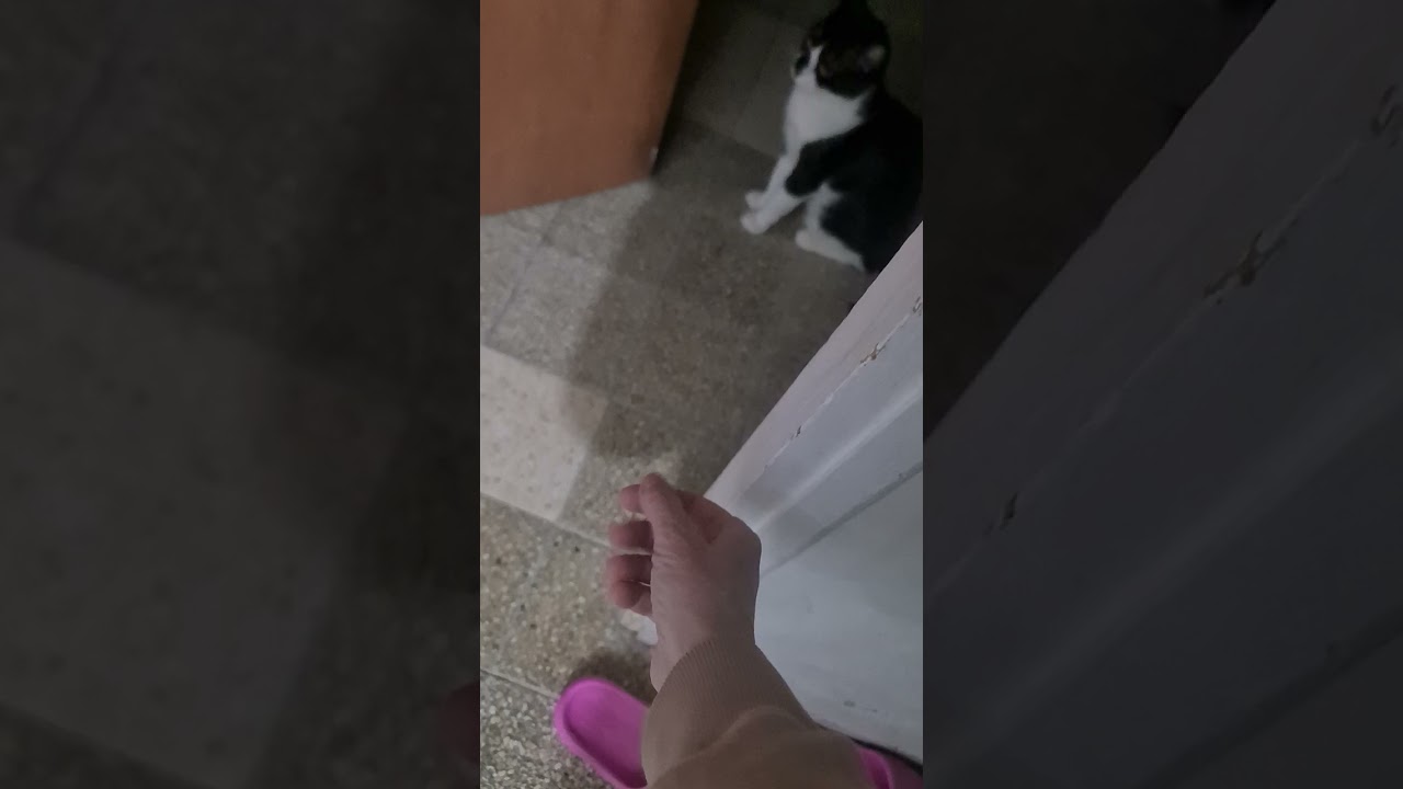 Держимся 18.00