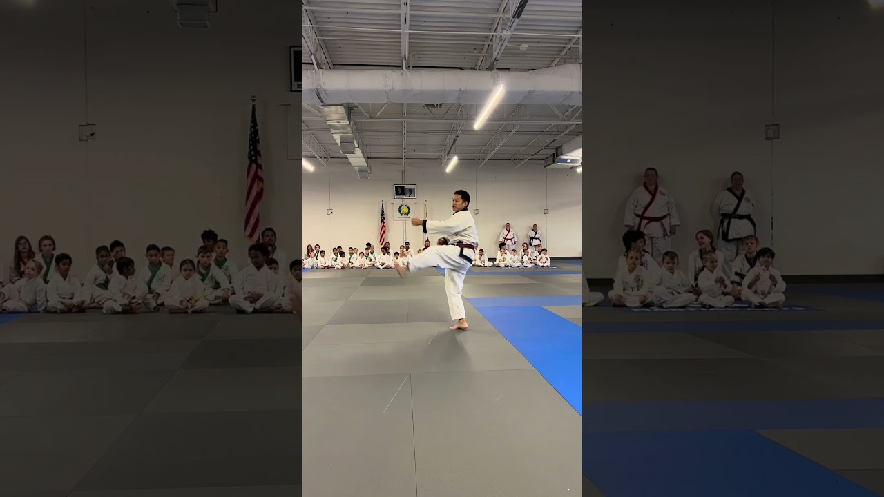 Chil Sung form created by Hwang Kee #kata #tangsoodo #soobahkdo #martialarts #tkd #karate #training