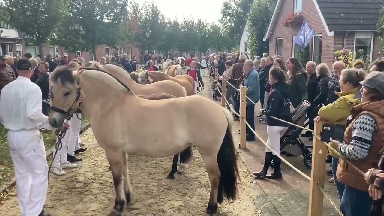 Paardenkeuring en warenmarkt tijdens Paardenmarkt Ameide 2024