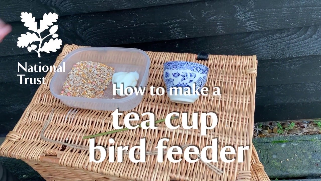 How to make a tea cup bird feeder