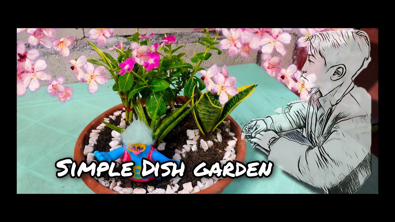 Making simple Dish Garden/TLE Grade9/Embrace the new Normal/vlog#10