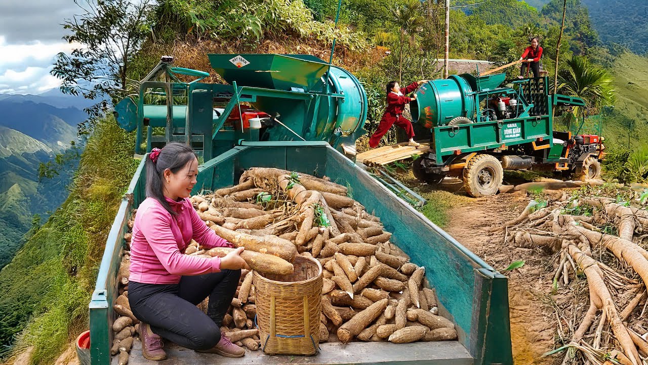Transporting Concrete Mixers by Truck and Supplying Cassava to Villagers - Daily Farm