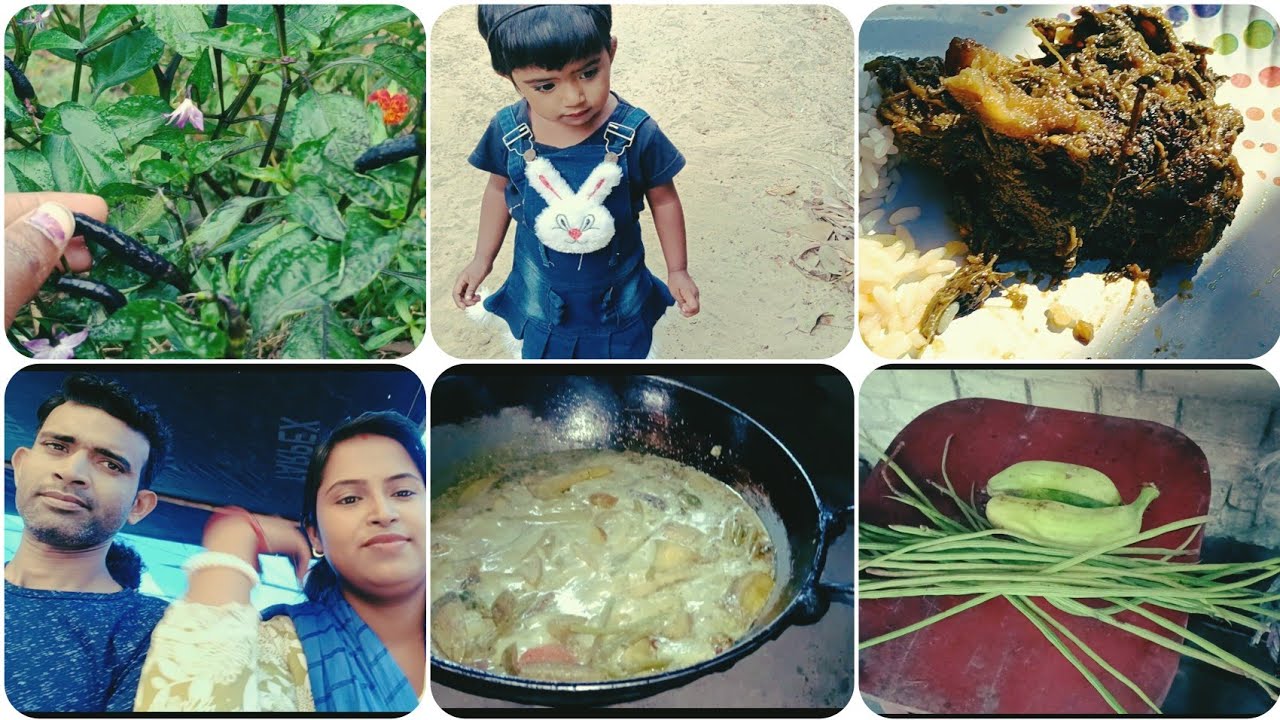 বাড়ি থেকে সজনে ডাঁটা,কাঁচ কলা,মোচা,কুমড়ো ফুল নিয়ে এলো। আজকে গেলাম মহোৎসব খেতে।