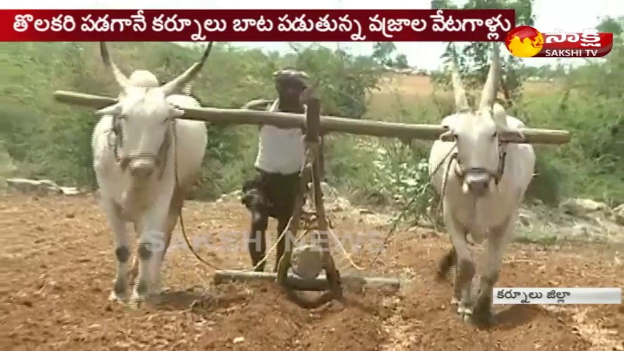 వ‌జ్రాల వేట‌..! || Diamonds Hunting In Kurnool District || Sakshi TV