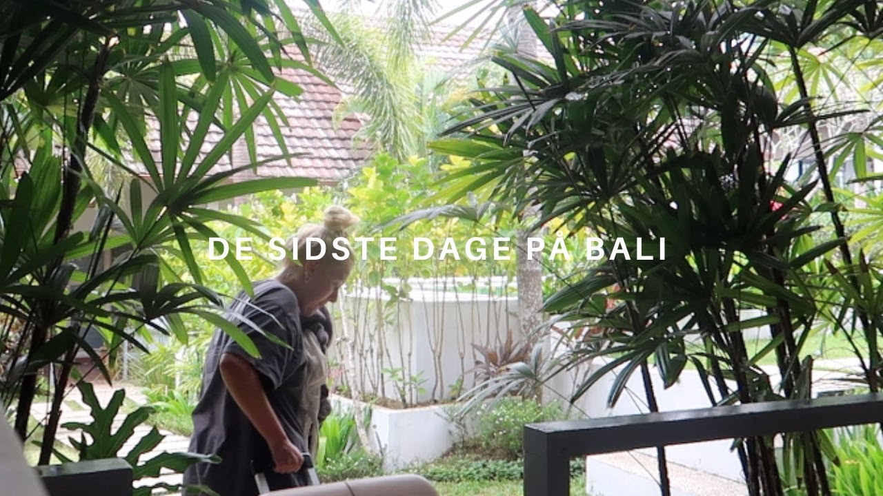 SIDSTE VLOG FRA BALI