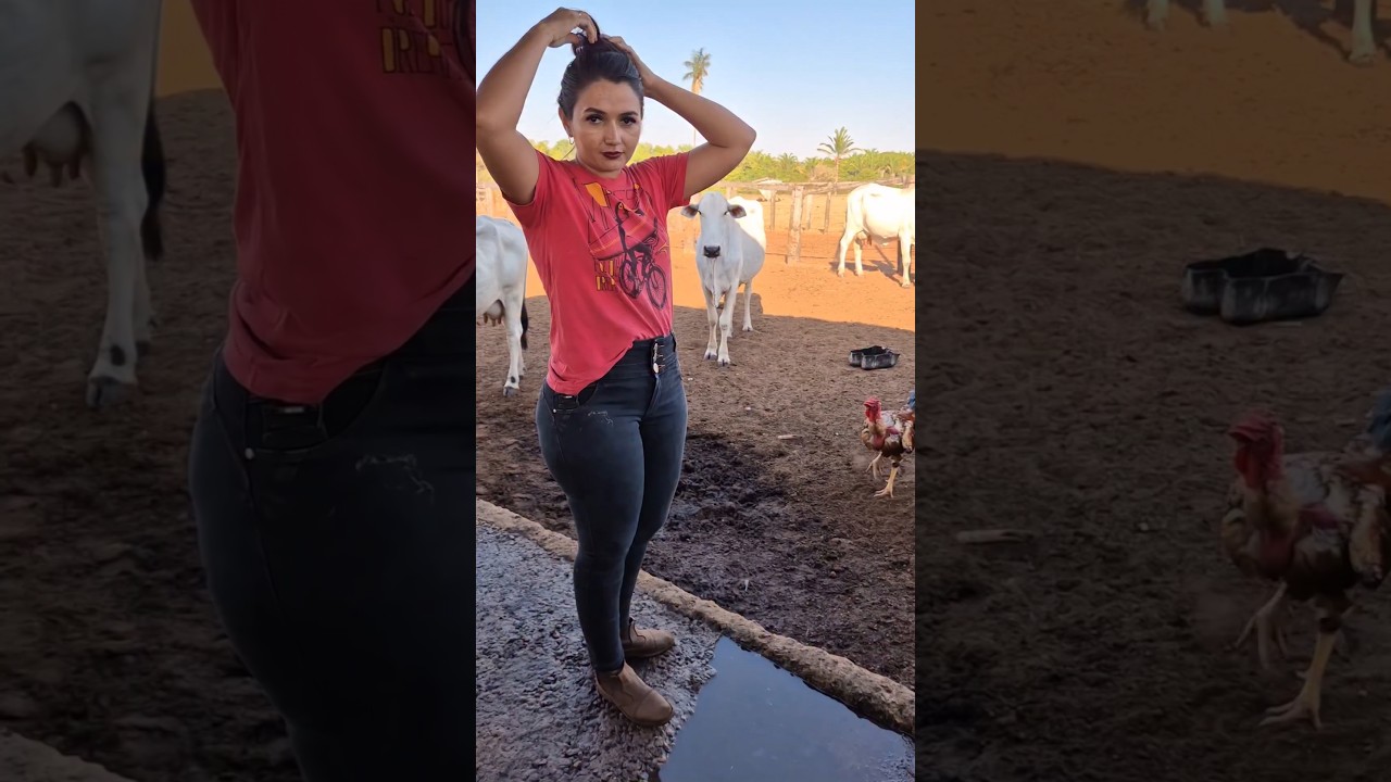 Dairy farming cow milking #farming #dairy #milk #milking #cow #dairyfarming #dairy # #reels #shorts