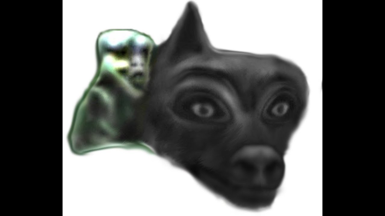 The Dogman Footage