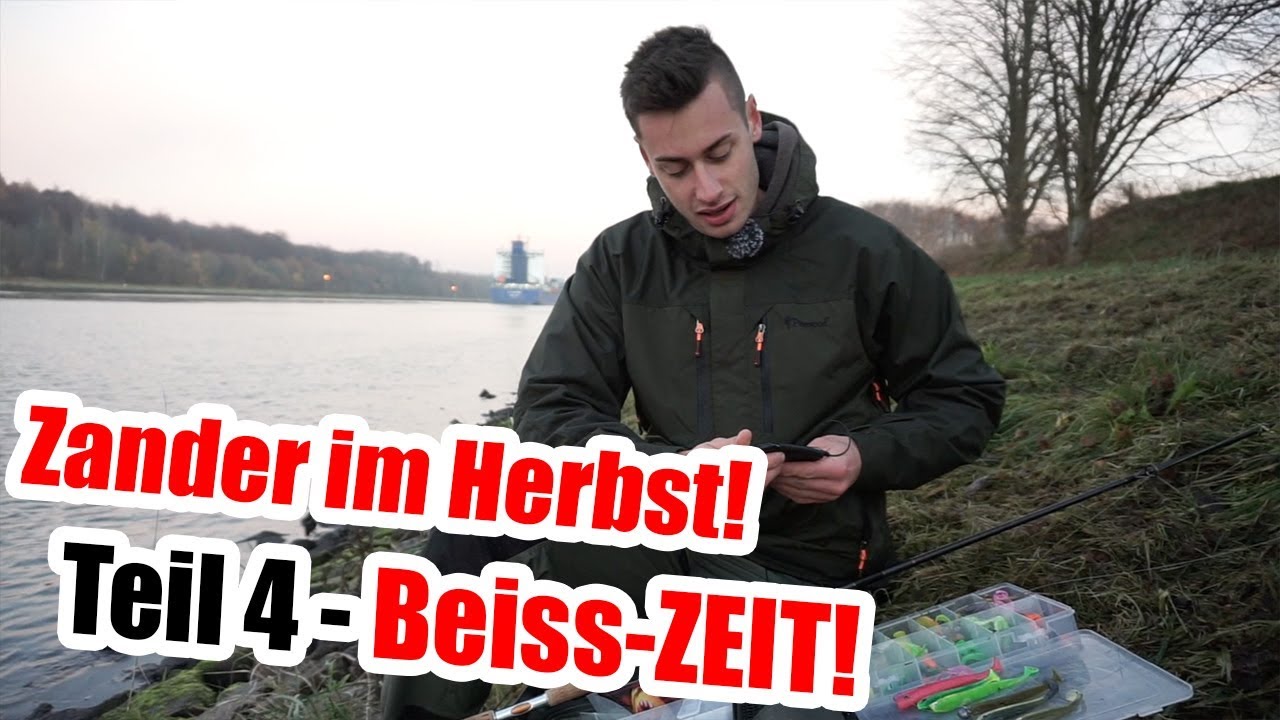 Wann solltest Du auf Zander angeln?! Angeln auf Zander im Herbst Teil 4