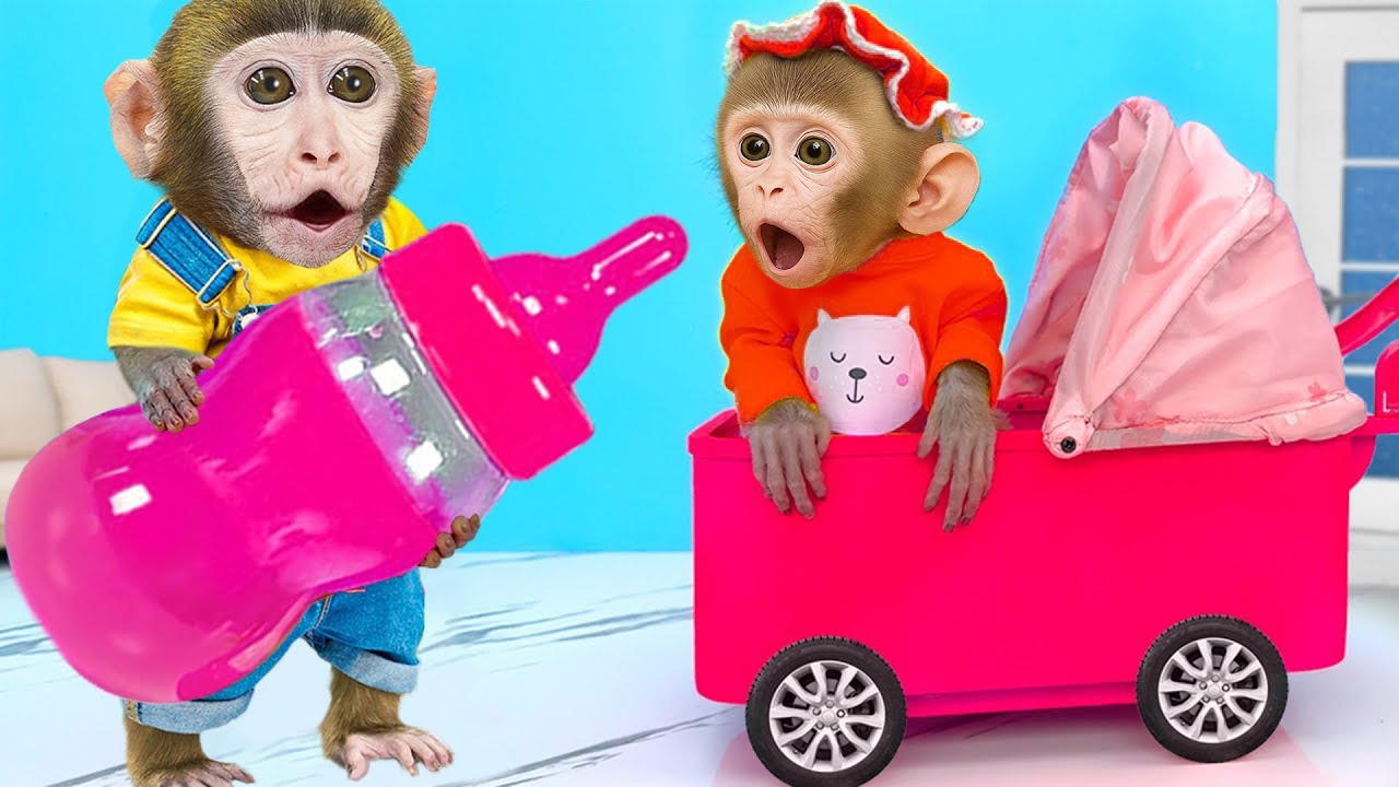 Monkey MoMo Take Care of Brother as Good Nanny then go to play with Puppy - MoMo Monkey Life