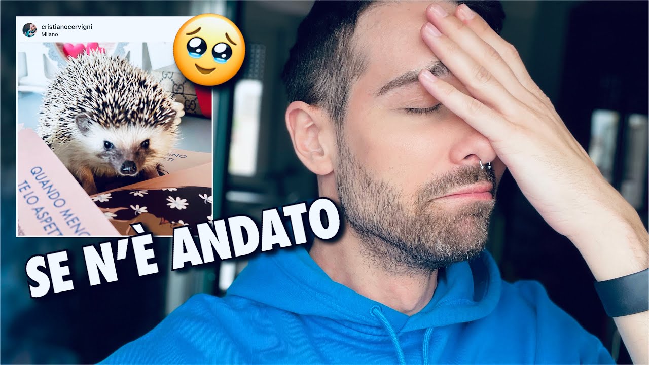 VLOG: CHE FINE HA FATTO HARVEY...