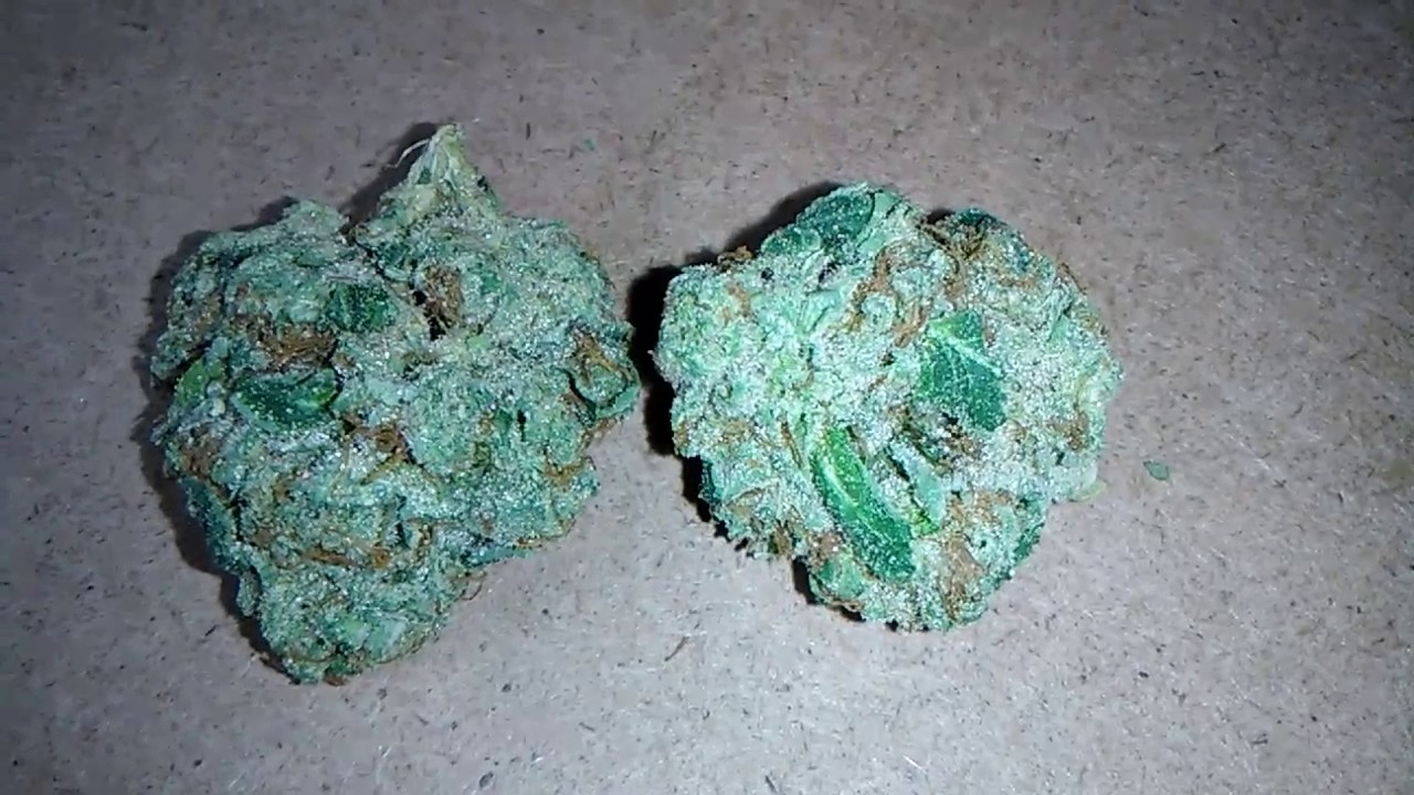 Legend OG