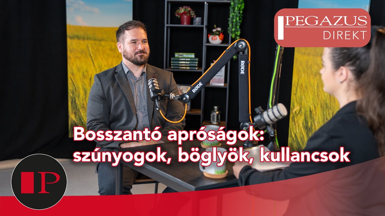 A szakértő válaszol: hogyan védekezzünk a rovarok ellen? | Dr. Keve Gergő | Pegazus Direkt XVII.