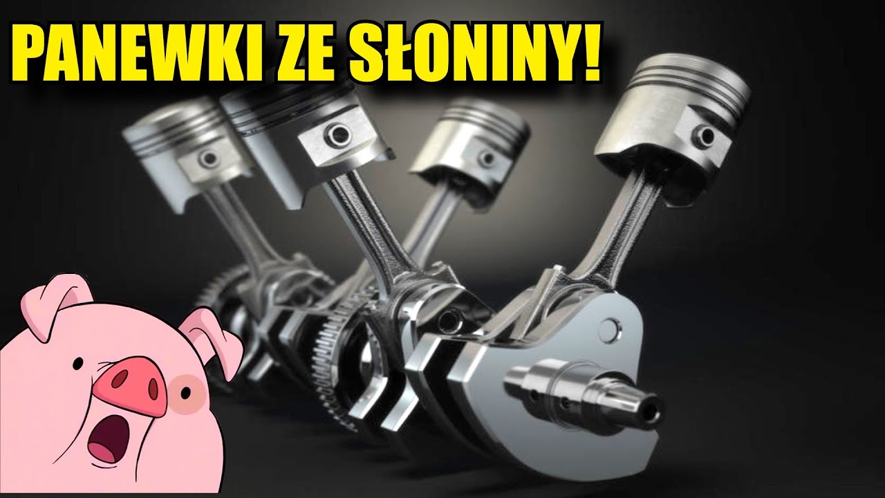 PANEWKI ze ŚWINI ? JAK DALEKO POJEDZIEMY ?