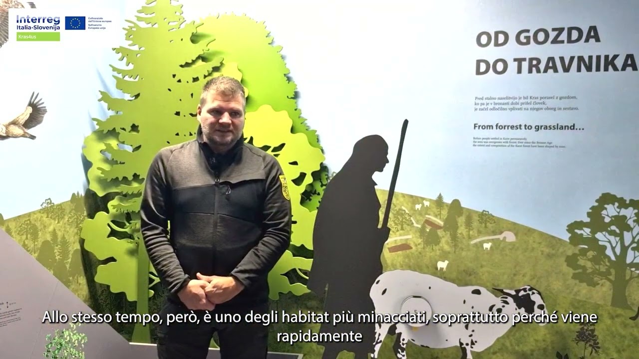 PILOTNA AKCIJA: OD GOZDA DO KRAŠKEGA TRAVNIKA