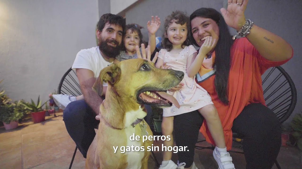 Adopci&oacute;n Responsable