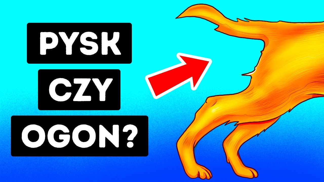 To, co widzisz jako pierwsze, zdradza, kim naprawdę jesteś