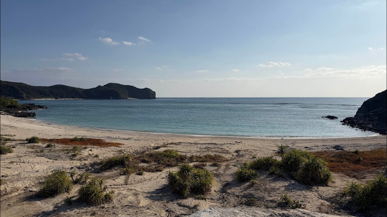 【沖縄スキンダイビング】阿波連海岸(渡嘉敷島) 2026年2月19日 okinawa skindiving Tokashiki