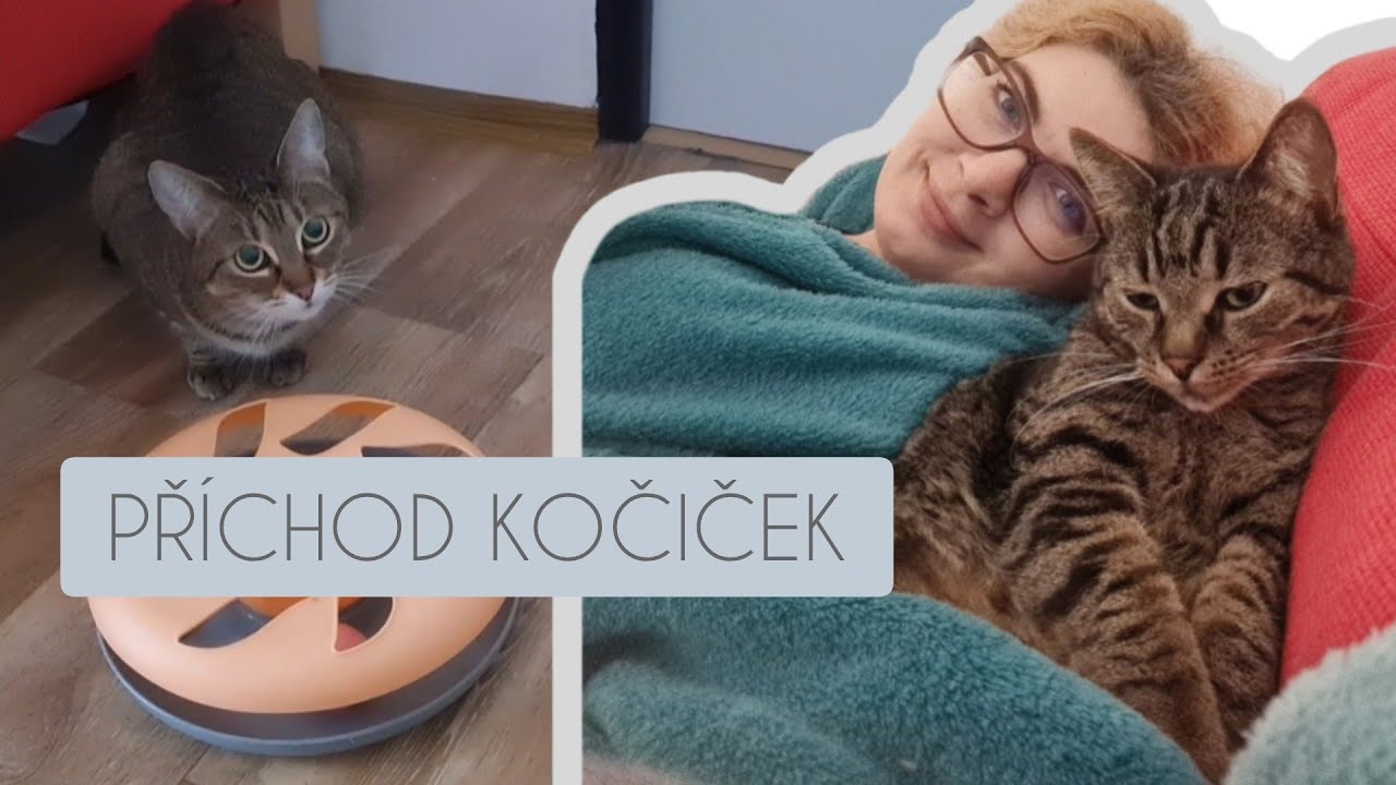 VLOG #459 L ¦ PŘÍCHOD KOČIČEK ¦ HOUSETOUR ¦ REKLAMACE ¦ #vlog #dailyvlog #haul #unboxing 