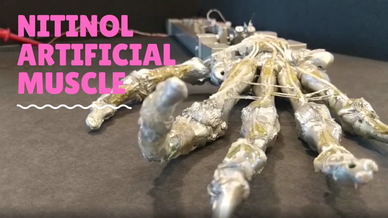 nitinol wire electric current artificial muscle