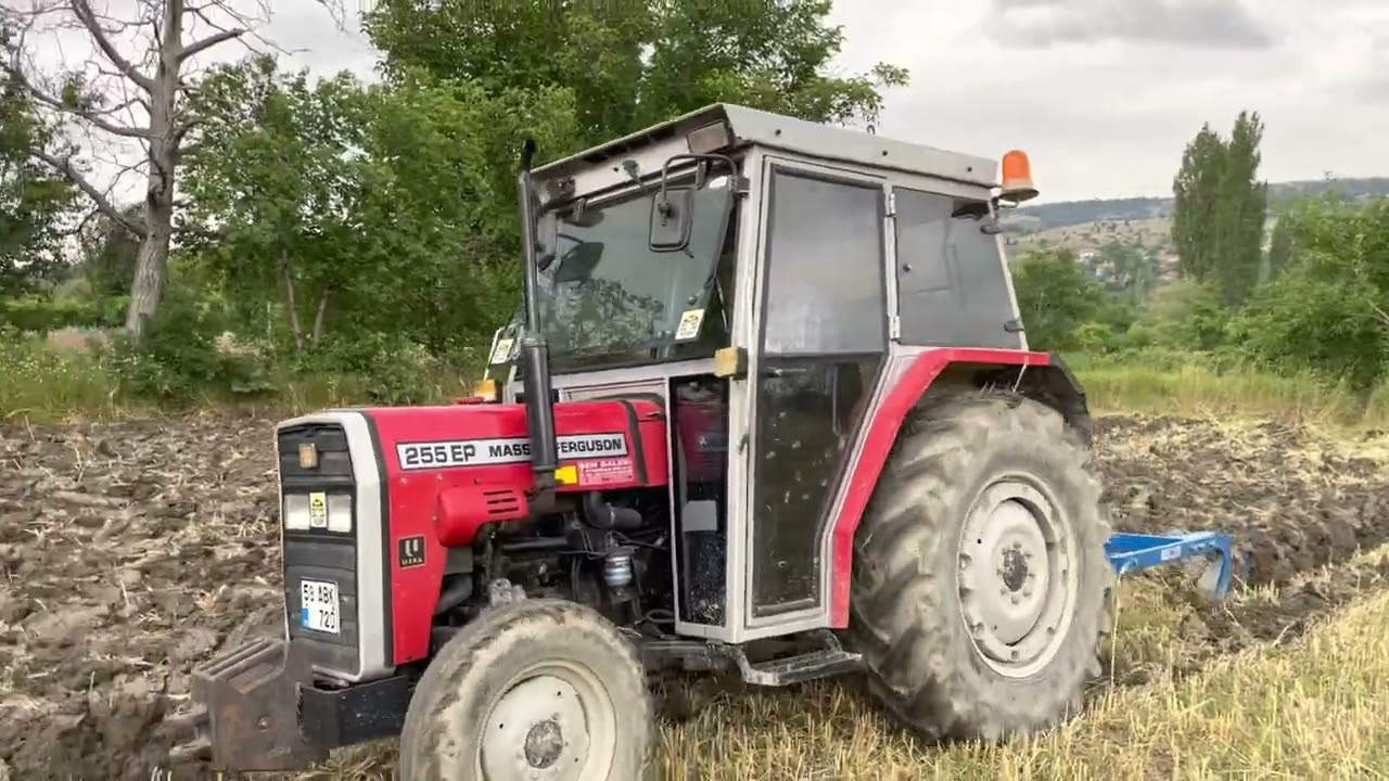 Massey Ferguson 255 ep çift sürme
