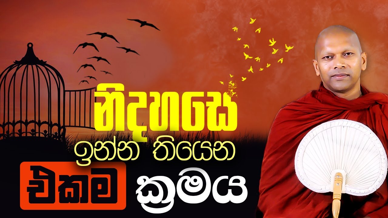 නිදහසේ ඉන්න තියෙන එකම ක්‍රමය