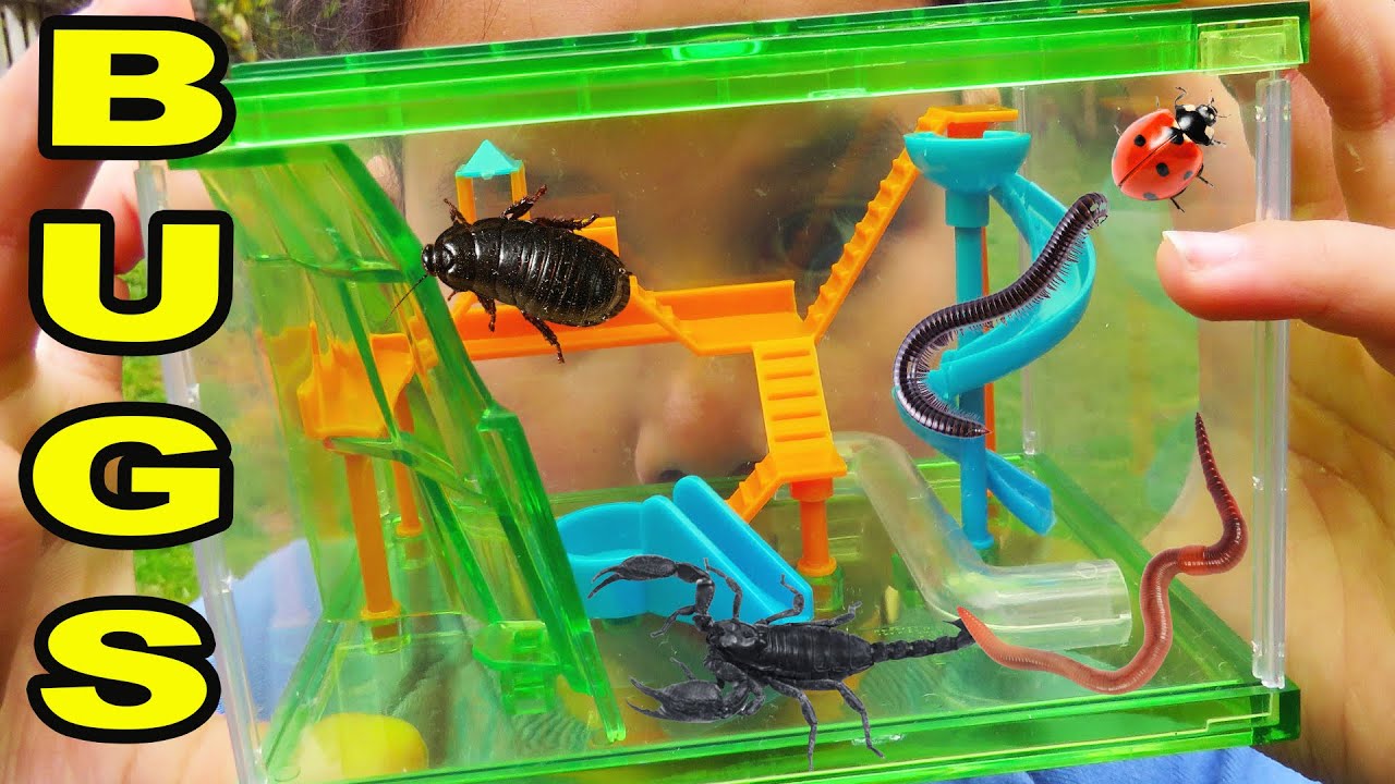 ZOE GOES ON A BUG HUNT