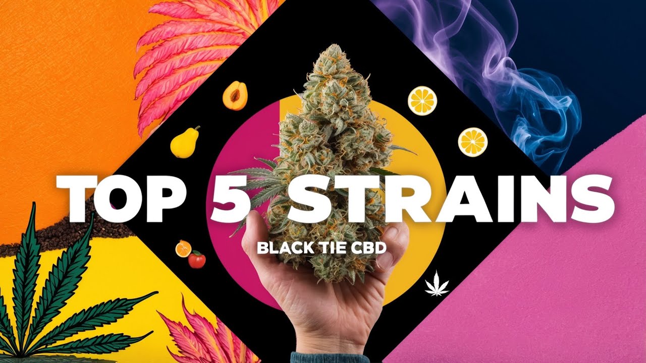 Top 5 THCA Flower Strains at Black Tie CBD | Apricot Mimosa, Sour Diesel, & More!