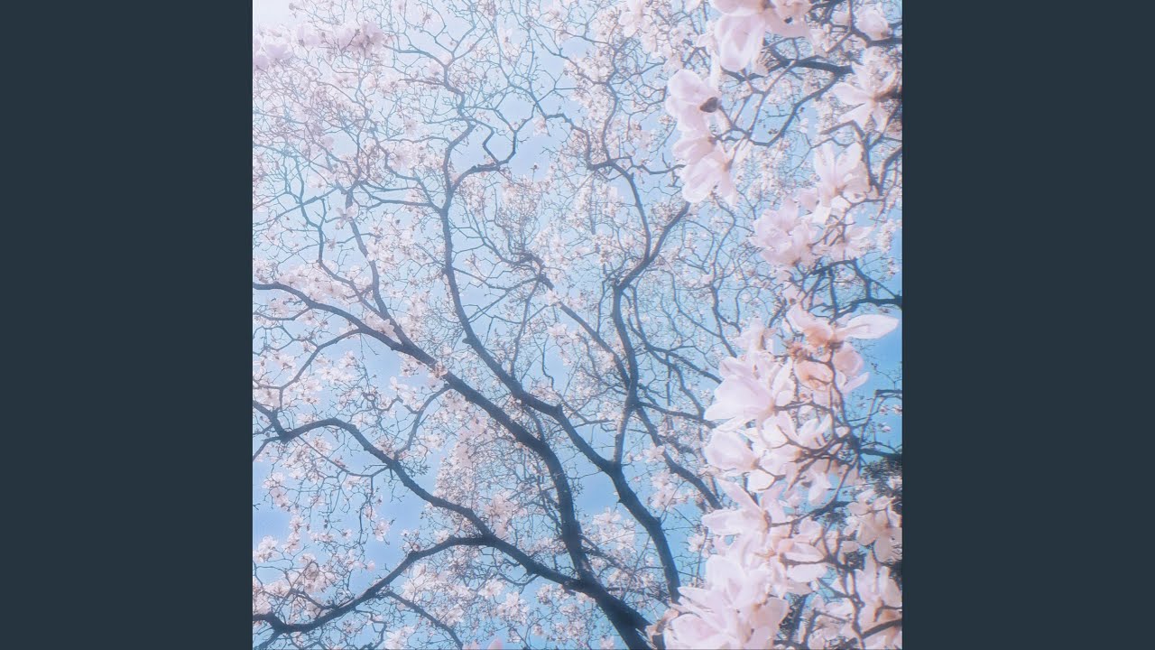 春Spring