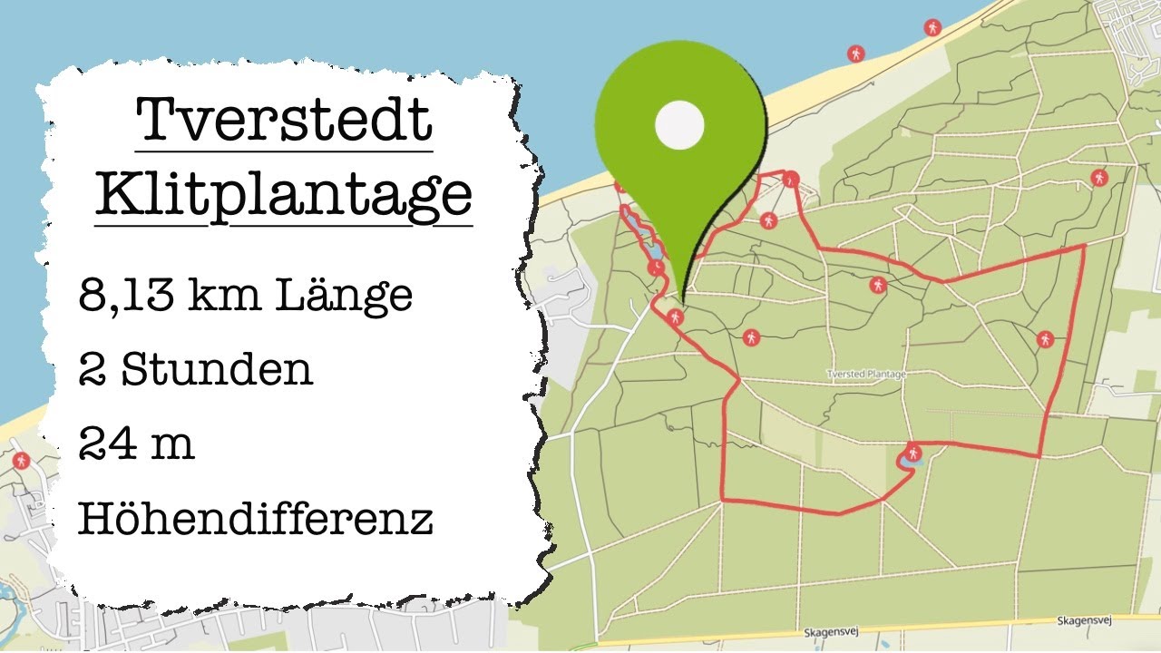 Sehnsucht nach Meer. Tverstedt Klitplantage/ Dänemark