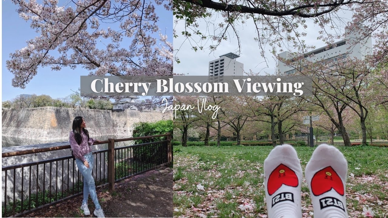 Japan Vlog | Spring: a week of cherry blossoms + hanami (picnic) 🧺