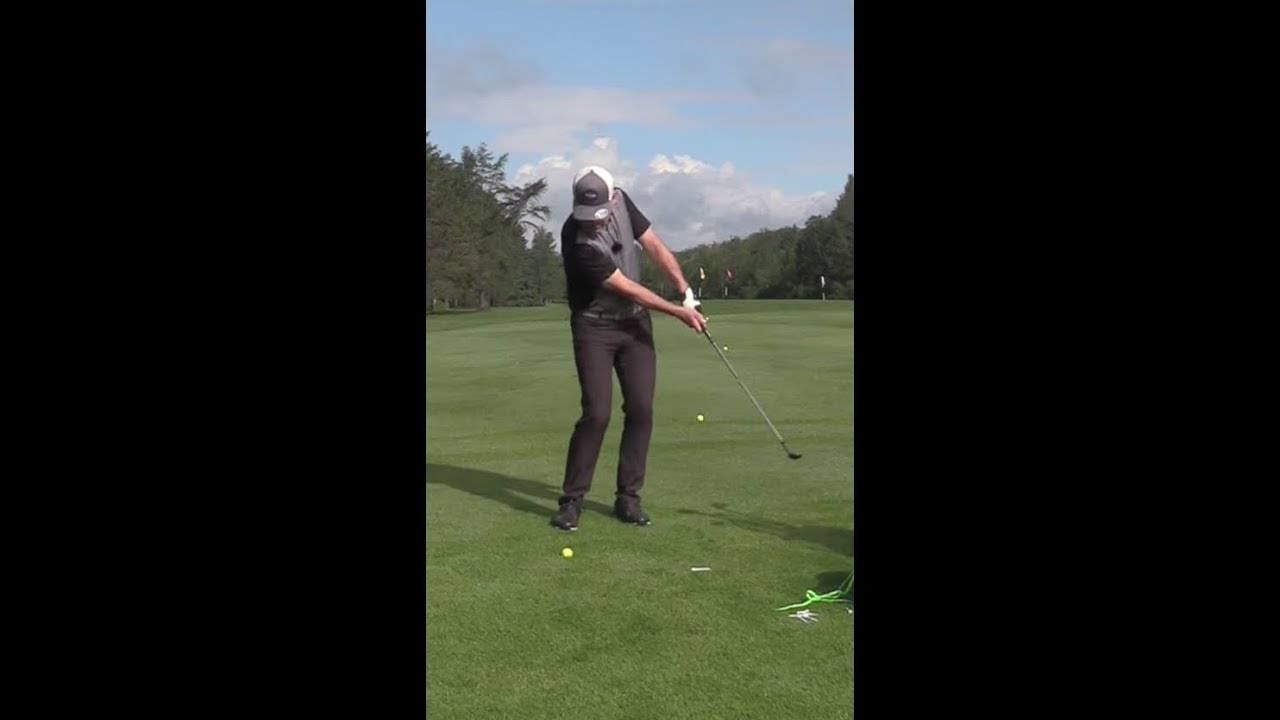 CHIP DE BASE ULTRA!  WISDOM SHAWN CLEMENT ROYAL QUEBEC