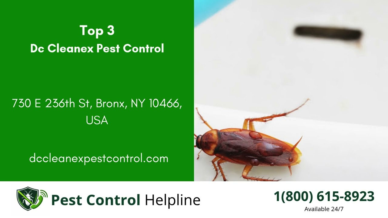 Top 3 Pest Control in Lorain