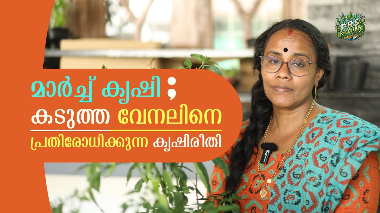 മാർച്ച് കൃഷി കടുത്ത വേനലിനെ പ്രതിരോധിക്കുന്ന കൃഷിരീതി | March Farming Tips Malayalam| Prs Kitchen