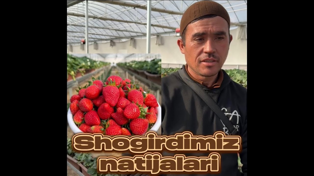 Samarqanddagi issiqxona 6- dekabr 