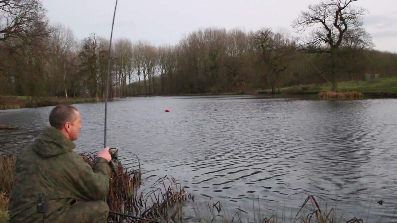 Big pike 31lb