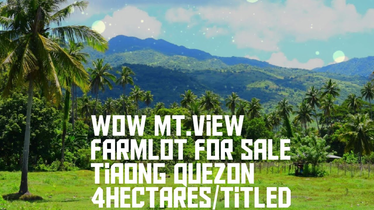 Farmlot for sale/Tiaong quezon/4has/titled