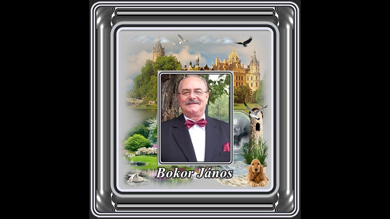 Bokor János : Ne szidjátok a részeget