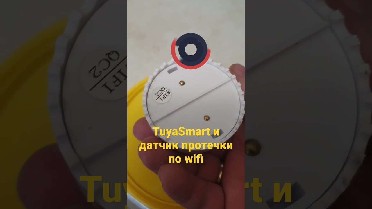 TuyaSmart  и датчик протечки по wifi использую уже 3 месяц.
