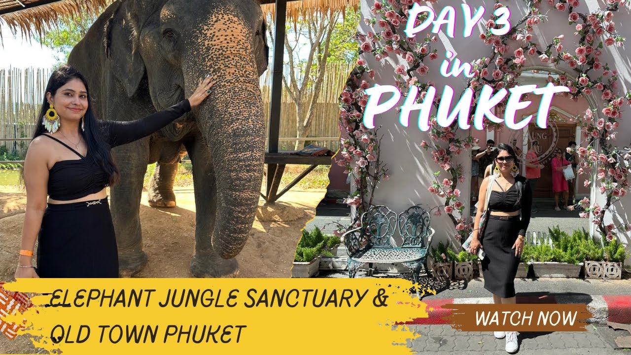 Phuket Vlog Day 3 | Elephant Sanctuary & Phuket Old Town | #phuketoldtown #phuket