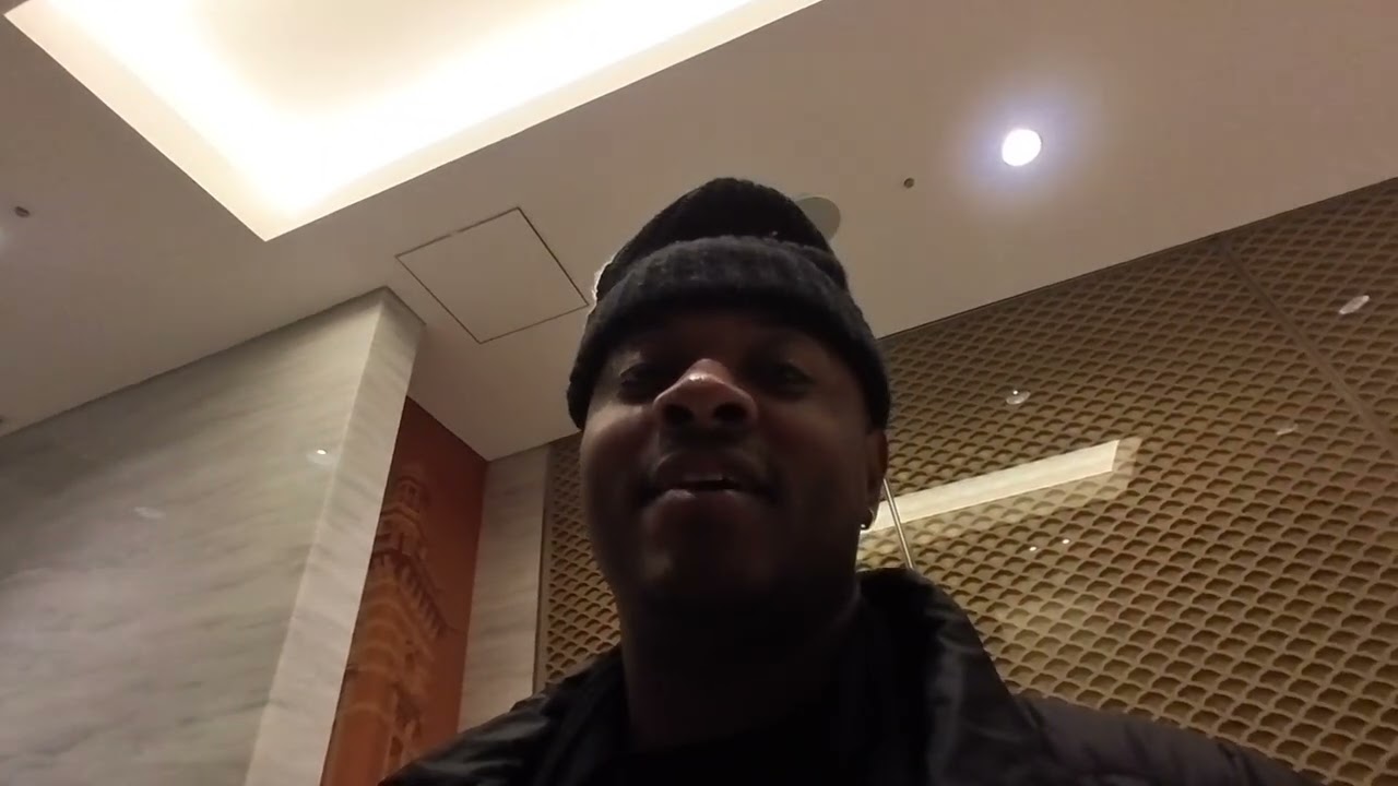 My Trip to Japan! (POV)