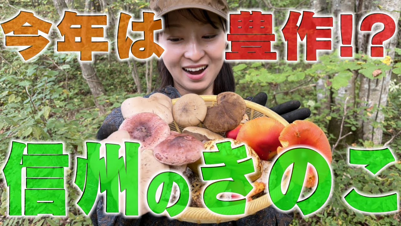 いよいよキノコシーズン到来！今年の出来は？（2025年10月2日abnステーション）
