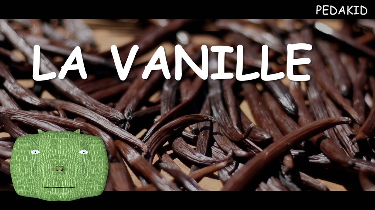 PEDAKID - LA VANILLE (vidéo pédagogique)