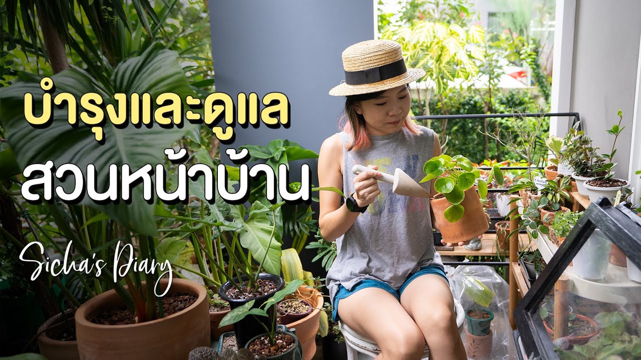บำรุงและดูแลต้นไม้ ในสวนหน้าบ้าน #ไม้กระถาง #svbiotech