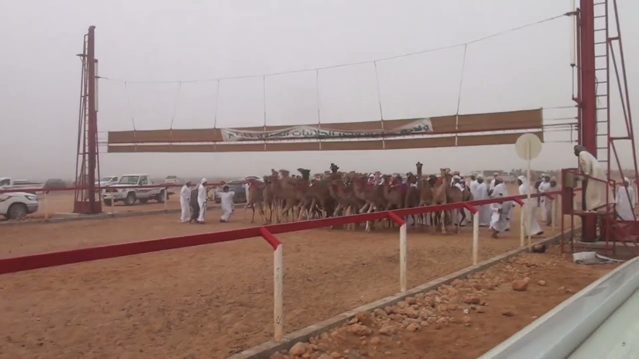 الرياضية ل سويبج بن محمد الحرسوسي