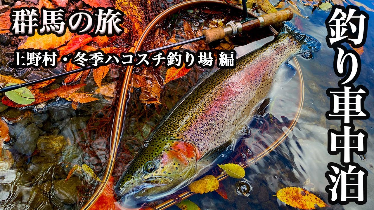 【釣り車中泊】2025年11月 群馬県上野村 冬季ハコスチ釣り場が楽しすぎた