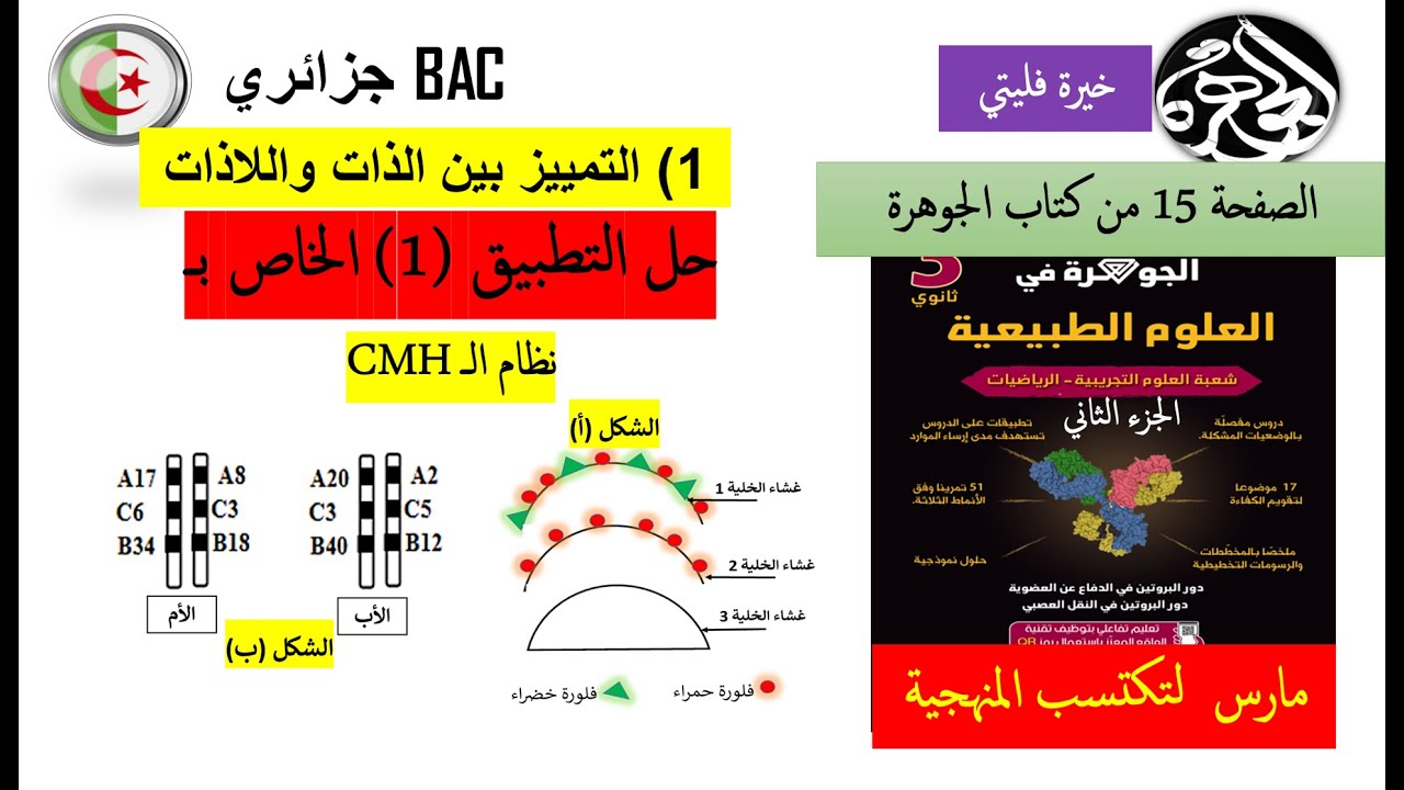 حل التطبيق 1 الخاص بـ CMH