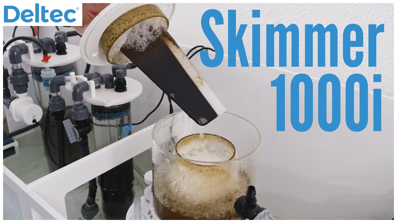 Den Deltec Skimmer 1000i richtig einstellen | Deltec