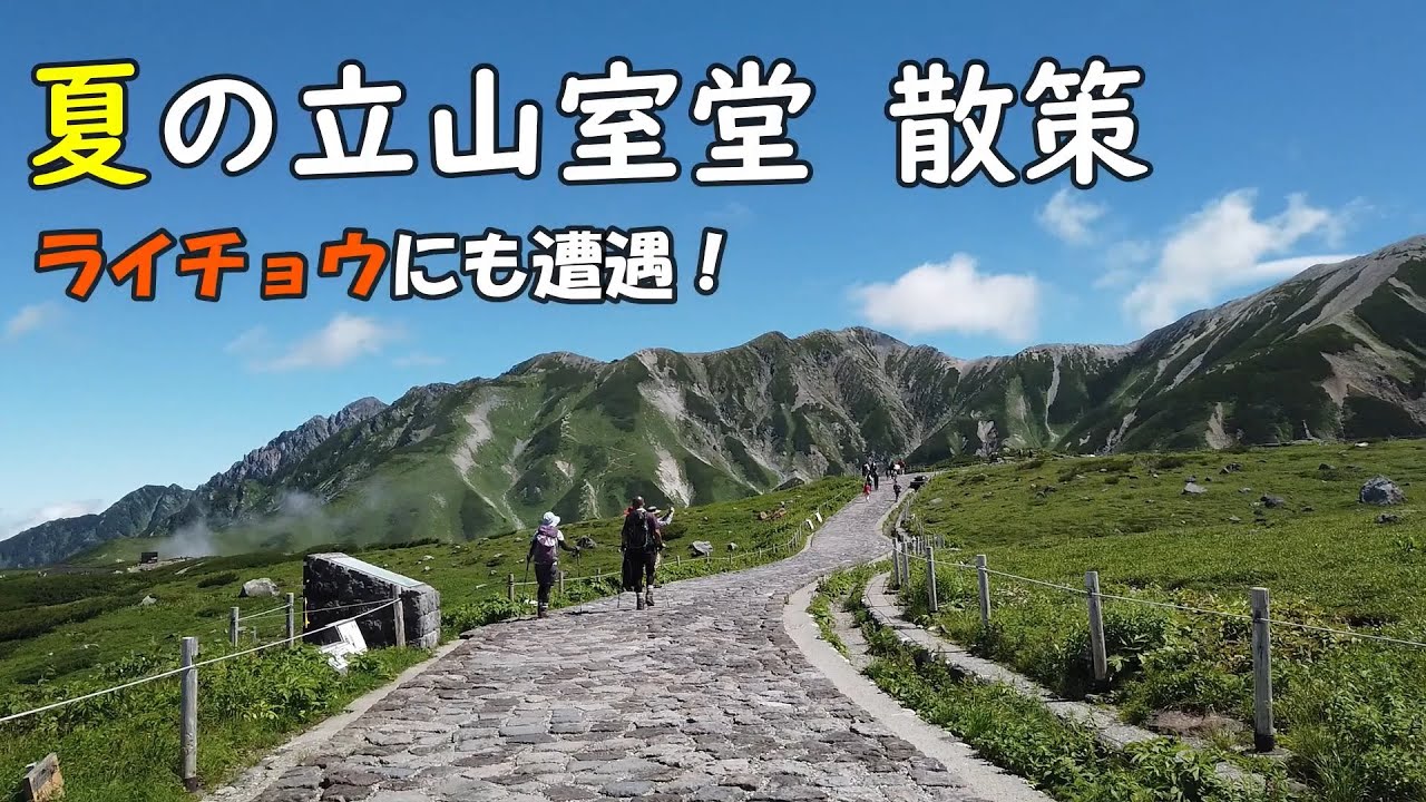 【絶景】夏の立山室堂平を散策してみた