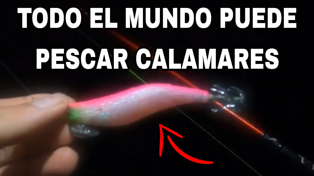 ESTA TECNICA NO FALLA así PESCA CALAMARES todo EL MUNDO a EGING